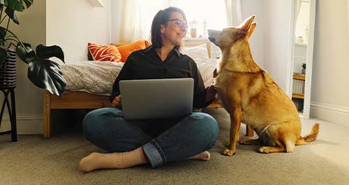 Woman on couch with pet and laptop