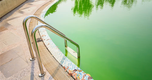 Green, cloudy swimming pool