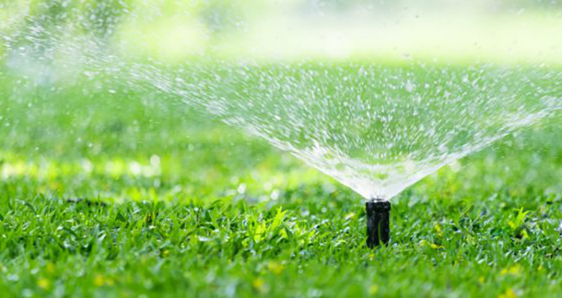 Photo of a lawn sprinkler watering the grass