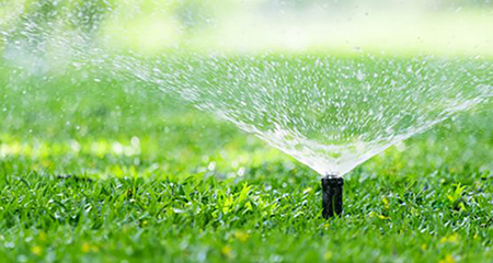 Photo of a lawn sprinkler watering the grass