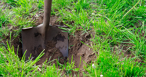 Photo of someone digging a hole in their yard with a shovel