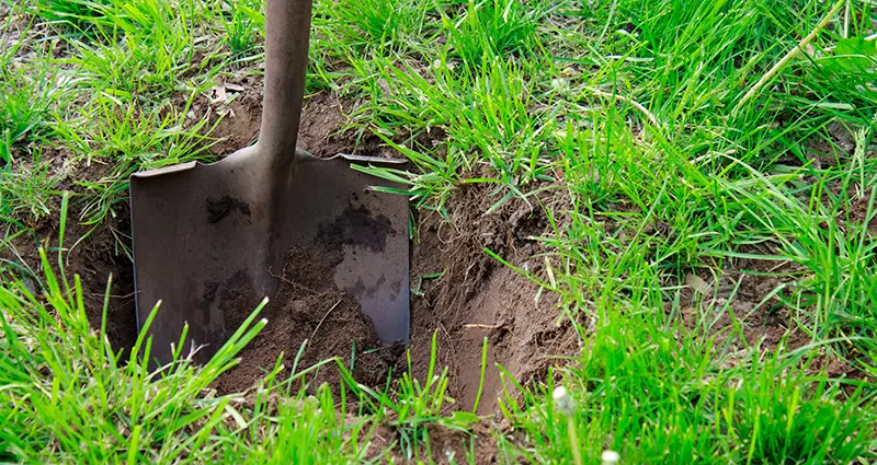 Shovel in the soil