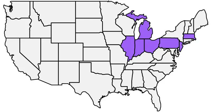 United States map with areas we serve highlighted purple