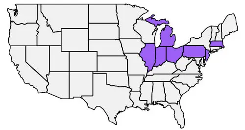 United States map with areas we serve highlighted purple