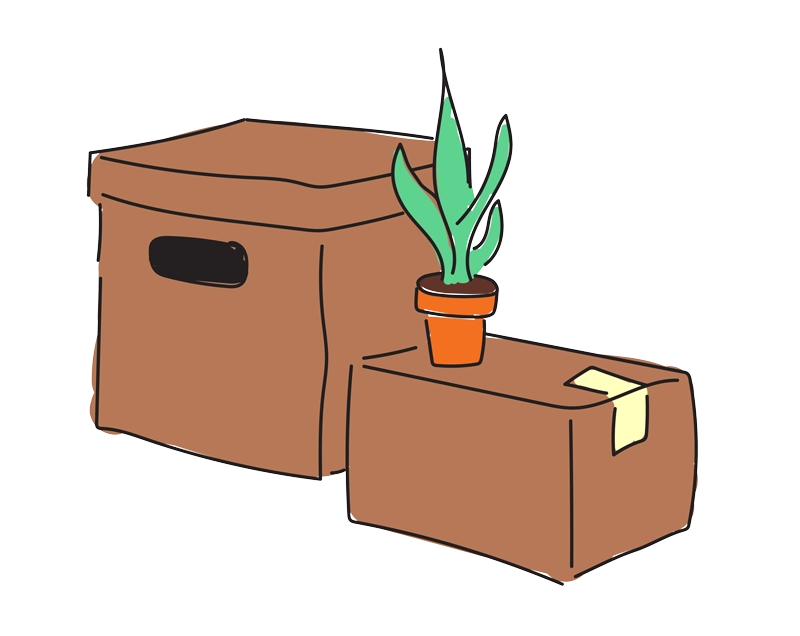 Moving boxes and a plant illustration