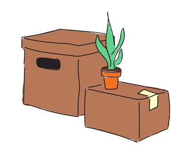 Moving boxes and a plant illustration