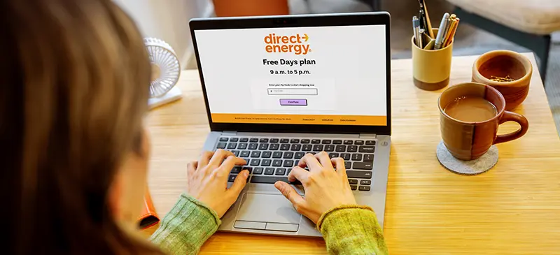 Lady at desk on DE website