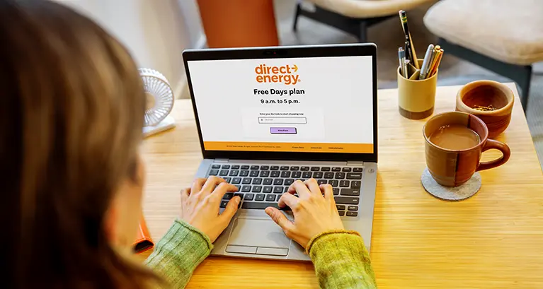 Lady at desk on DE website