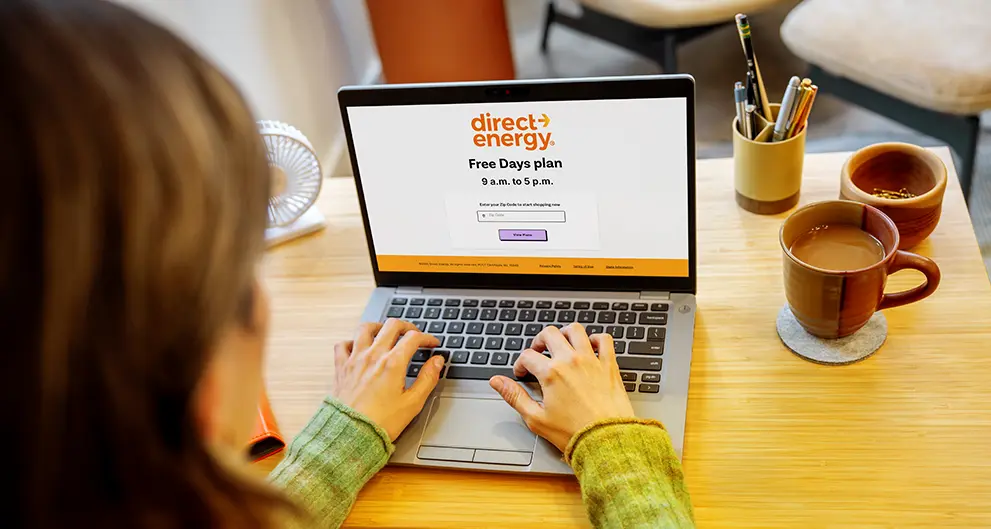 Lady at desk on DE website