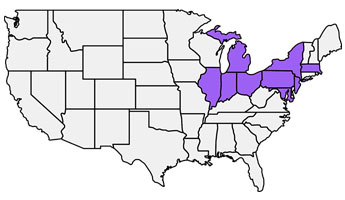 Direct Energy US Gas map