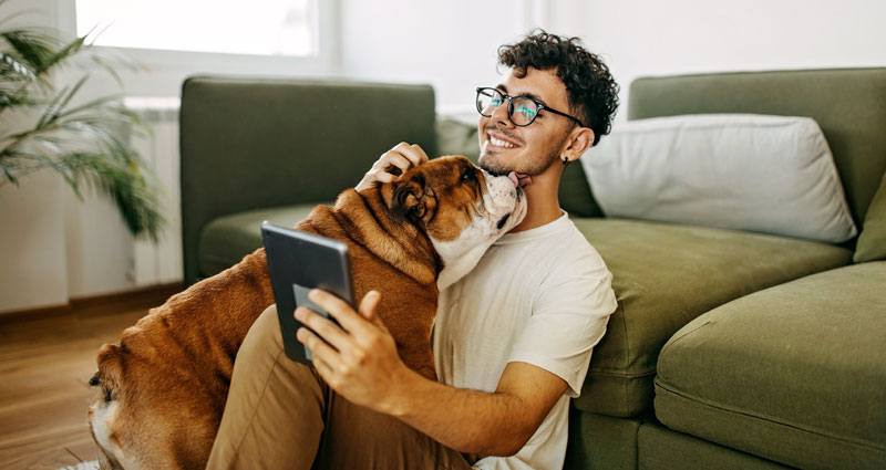 Woman on couch with pet and laptop
