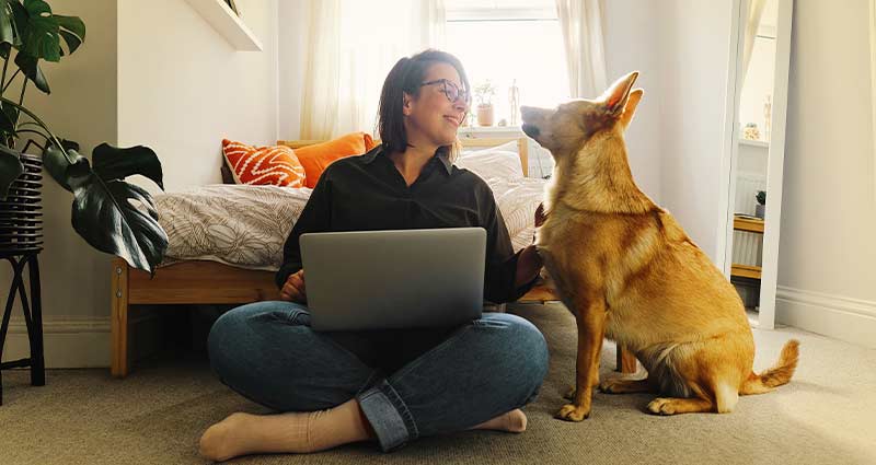 Woman on couch with pet and laptop