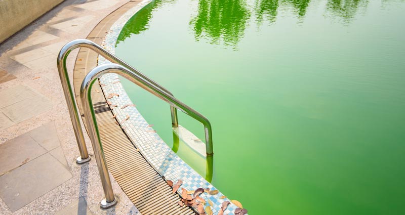 Green, cloudy swimming pool