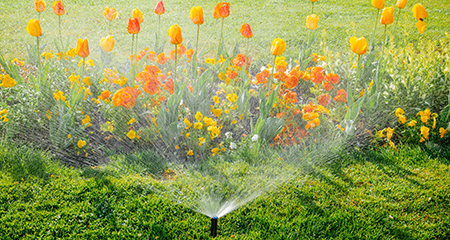 Photo of a lawn sprinkler watering the grass