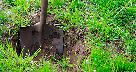 Photo of someone digging a hole in their yard with a shovel