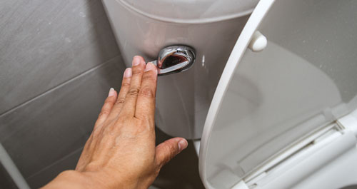 A hand flushing the toilet