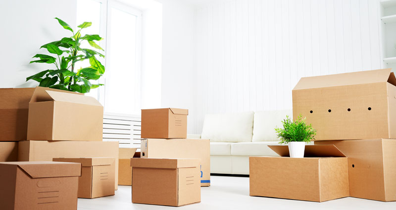 Many cardboard boxes on floor of new home