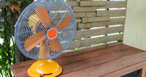 Electric fan on bench