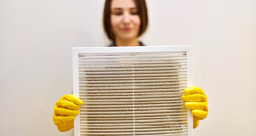 Woman holding dusty air filter