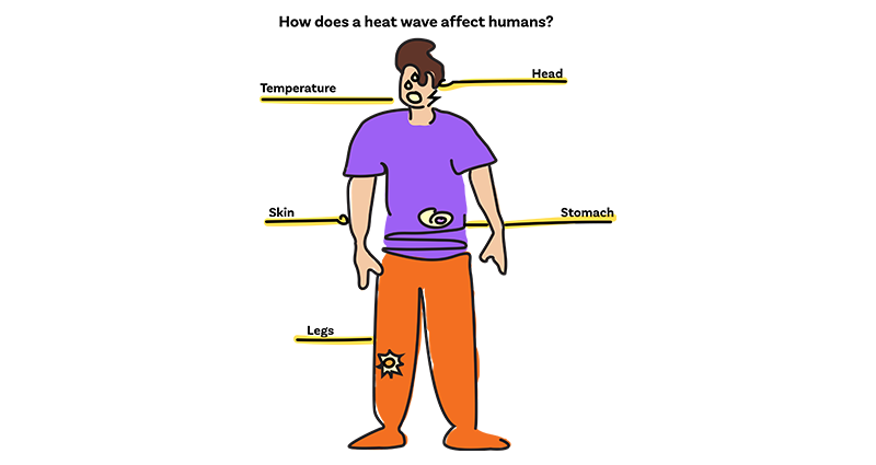 Illustration of how a heat wave affects a human in different parts of the body