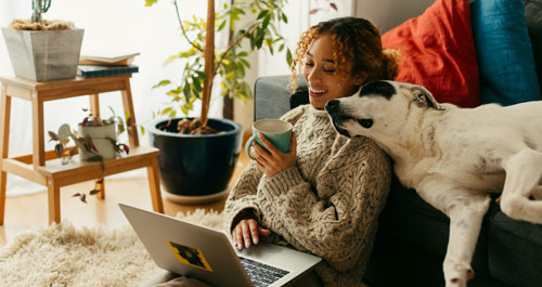 Young african american woman sitting on ground with dog on couch looking at laptop